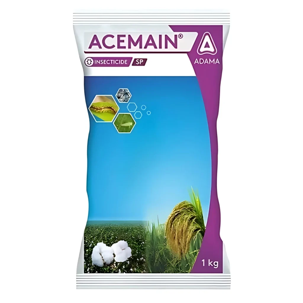Adama Acemain