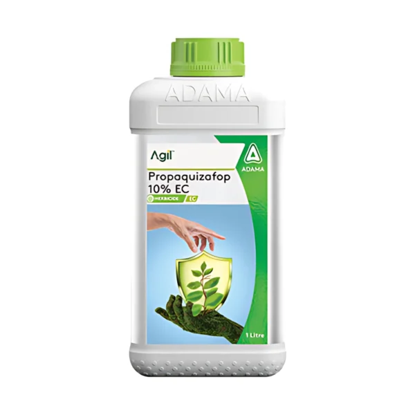 Adama Agil