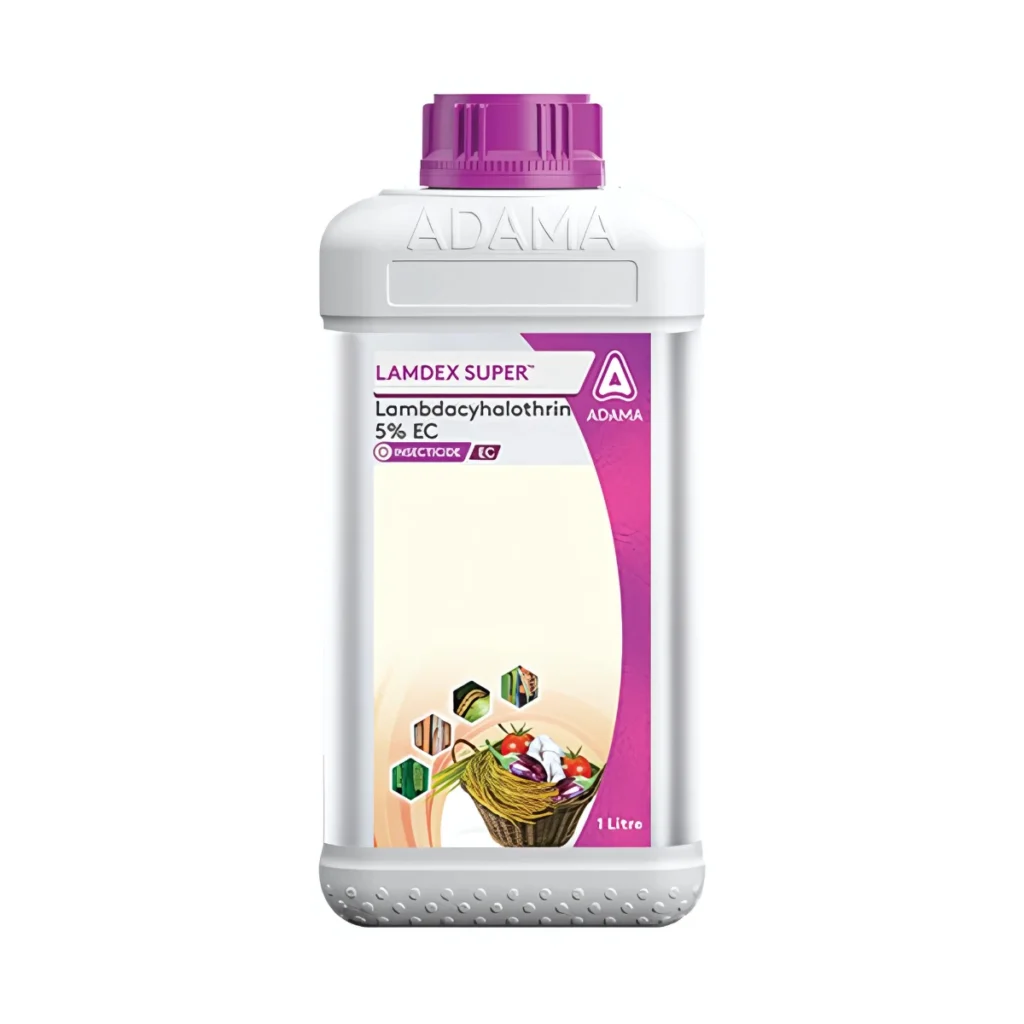 Adama Lamdex Super
