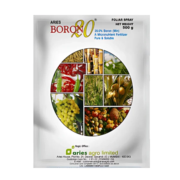 Aries Boron 20
