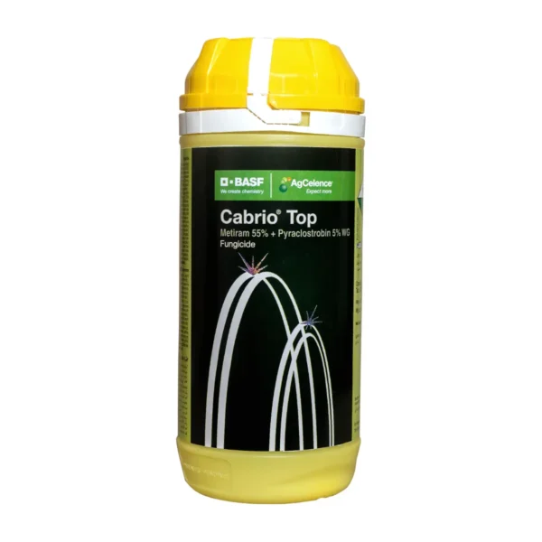 BASF Cabrio Top