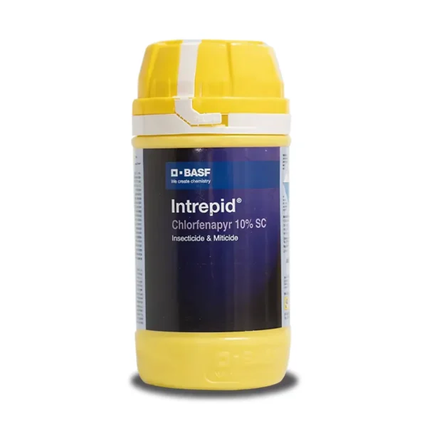 BASF Intrepid