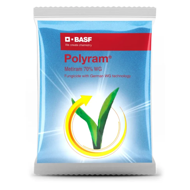 BASF Polyram