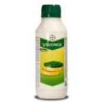Bayer Buonos