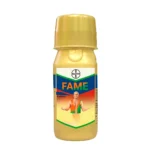 Bayer Fame