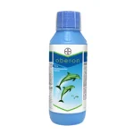 Bayer Oberon