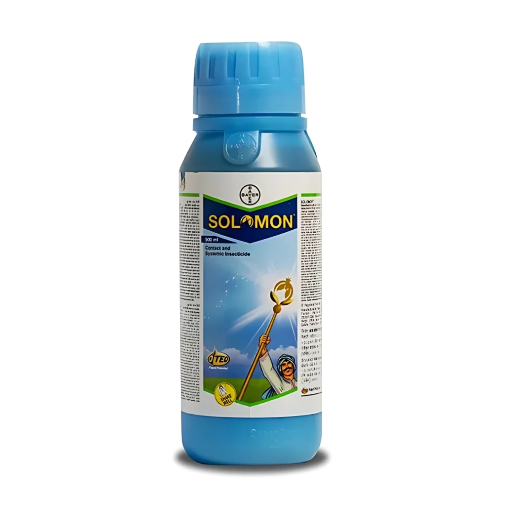 Bayer Solomon