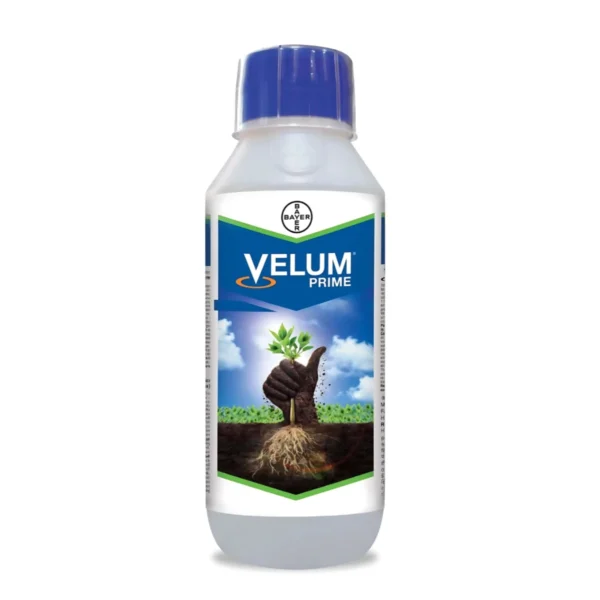 Bayer Velum Prime