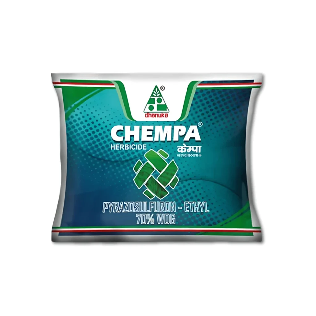 Dhanuka Chempa