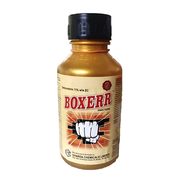 Gharda Boxerr