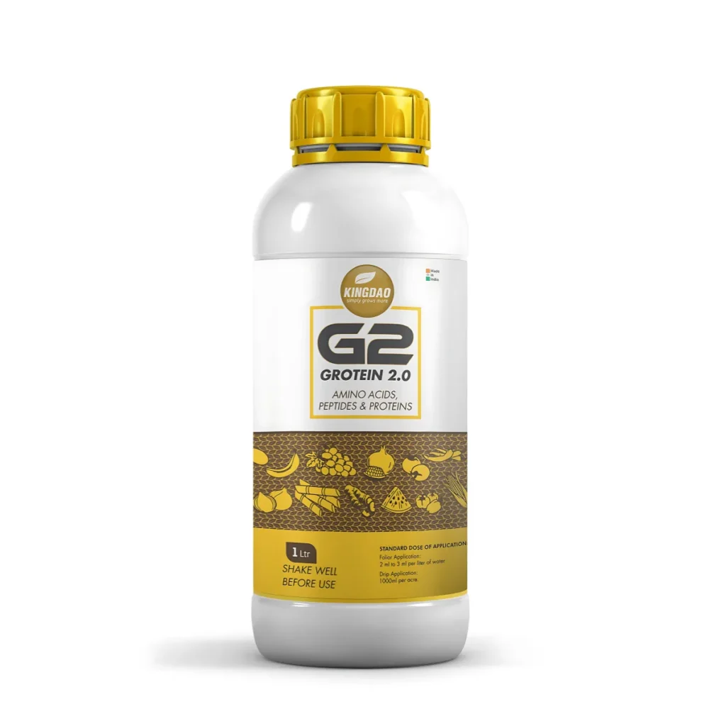 Kingdao G2