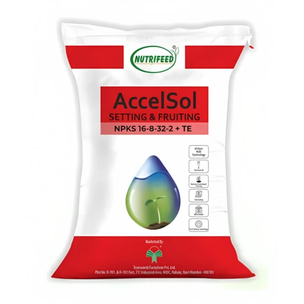 Nutrifeed Accelsol