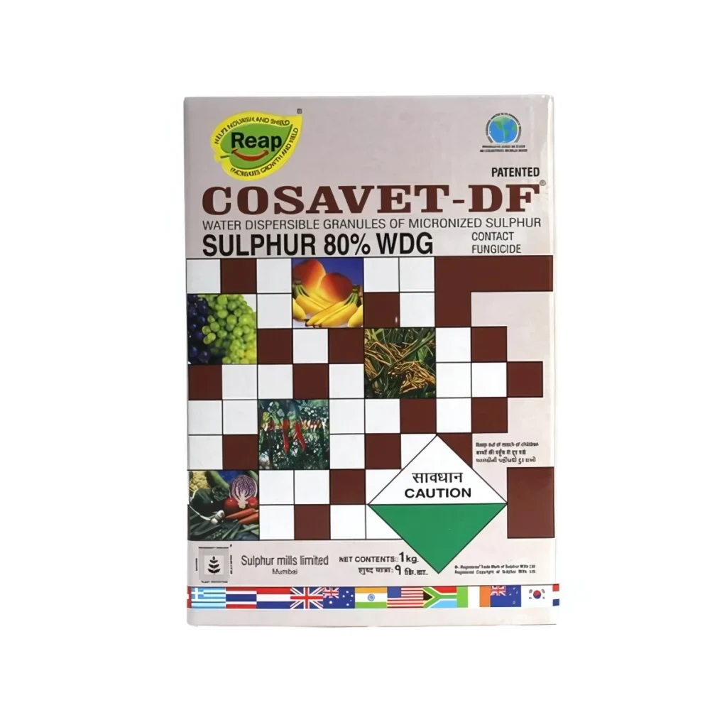 SML Cosavet DF
