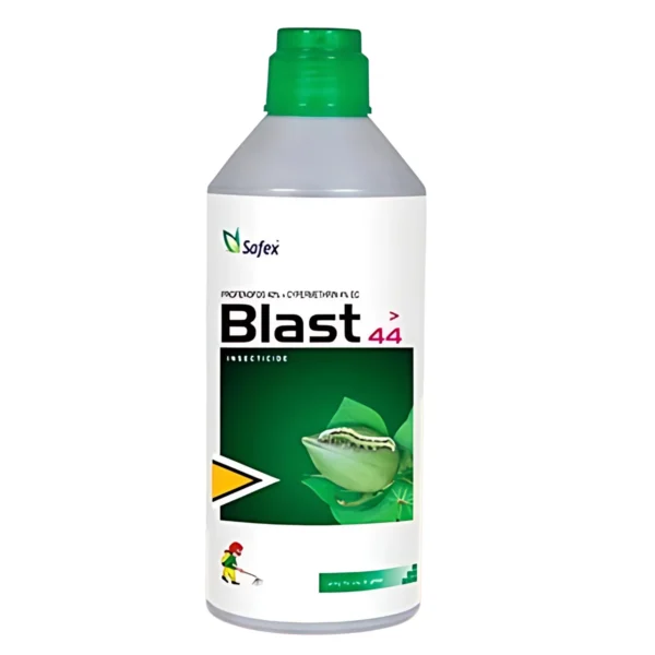 Safex Blast