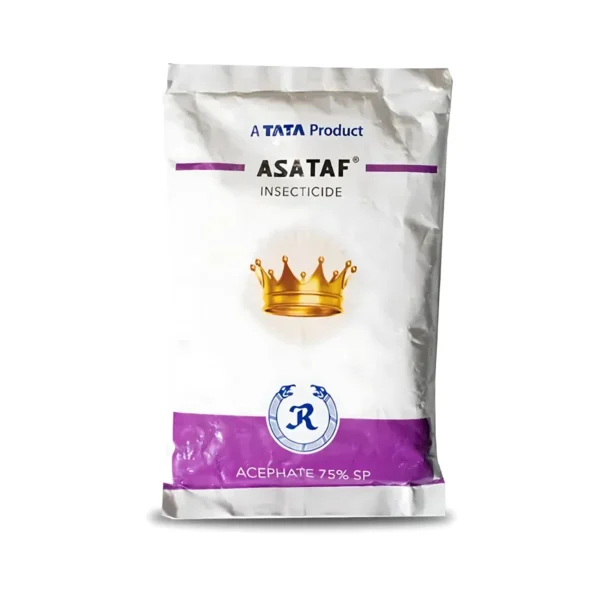 Tata Asataf