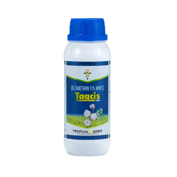 Tropical Tagcis