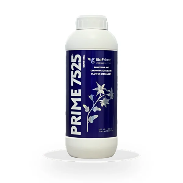 Prime 7525