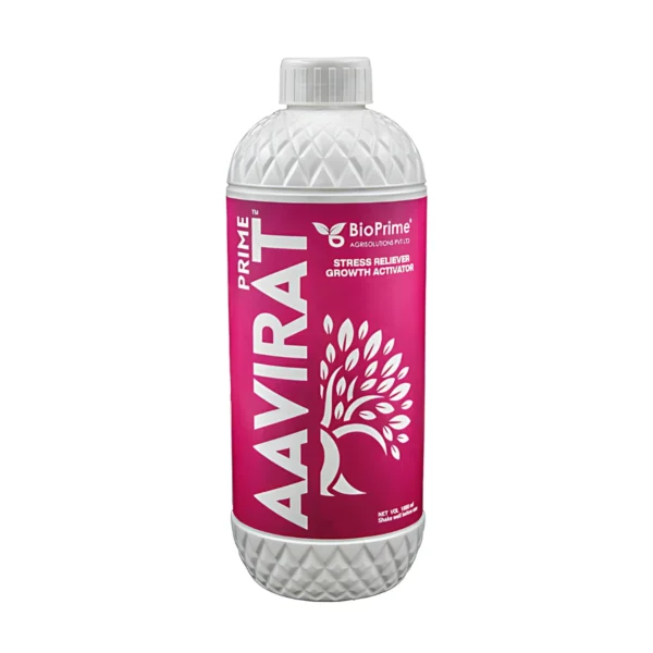 Prime Aavirat