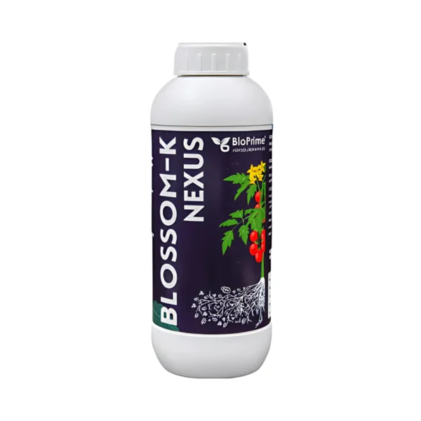 Prime Blossom-K-Nexus