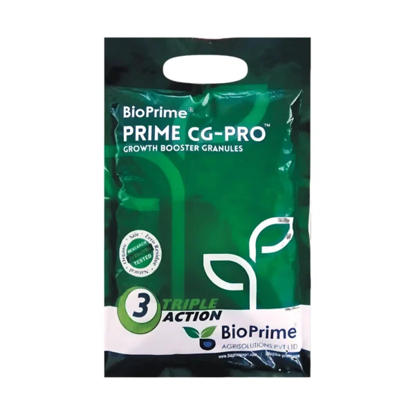 Prime CG Pro