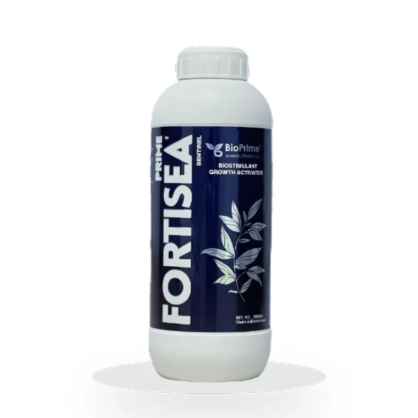 Prime Fortisea
