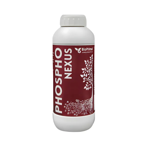 Prime Phospho Nexus