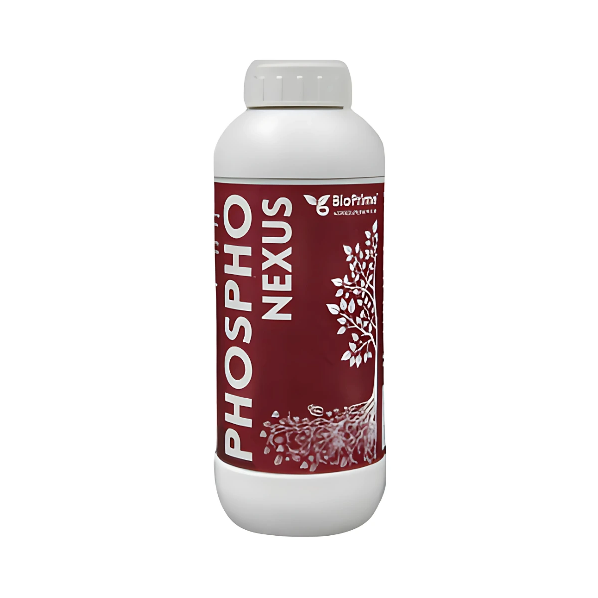 Prime Phospho Nexus Prime Phospho Nexus