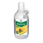 Bayer Rhapsody