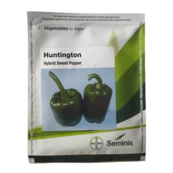 Seminis Huntington(Capsicum)