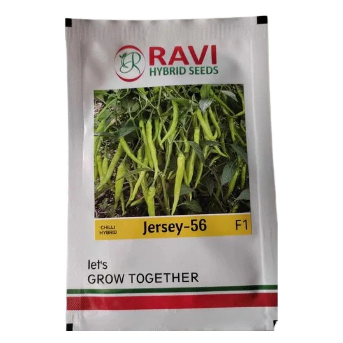 Ravi Seed jersey 56 Ravi Hybrid Jersey 56 (Chilli) - Image 1