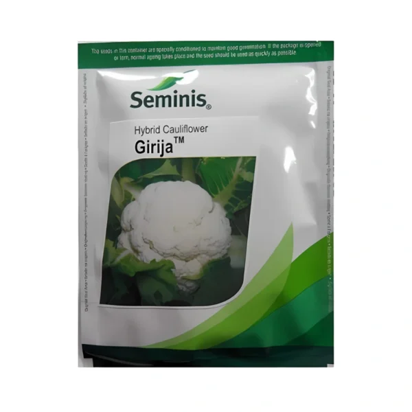 Seminis Girija(Cauliflower)