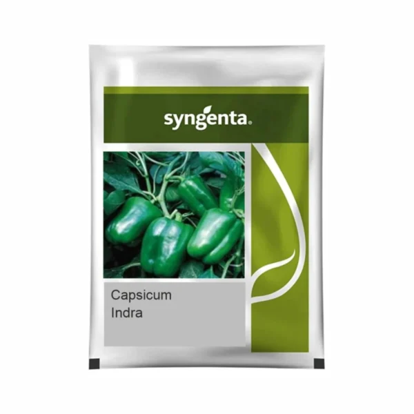 Syngenta Indra(Capsicum)