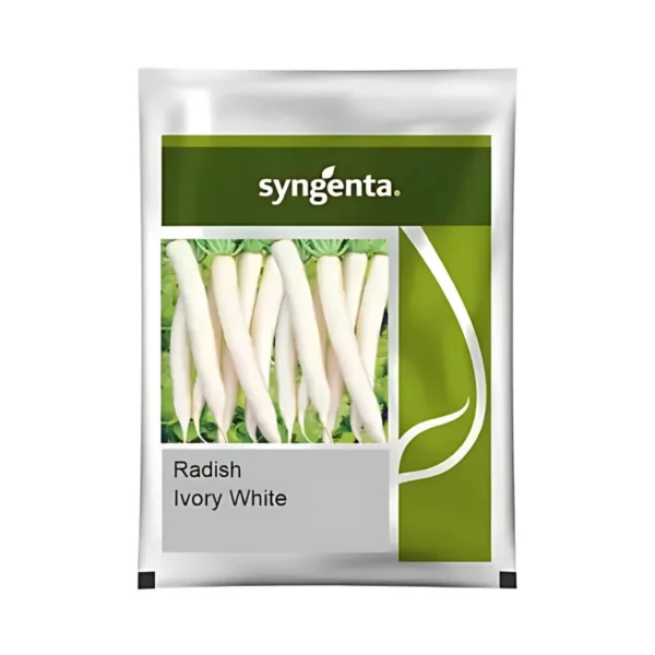 Syngenta Ivorywhite(Radish)